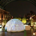 Maple Wonderland Dome