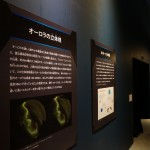 Hikari Exhibition